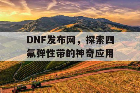 DNF发布网，探索四氟弹性带的神奇应用