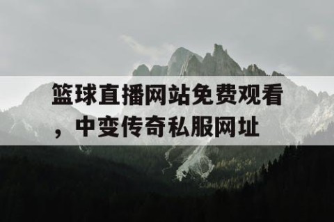 篮球直播网站免费观看，中变传奇私服网址