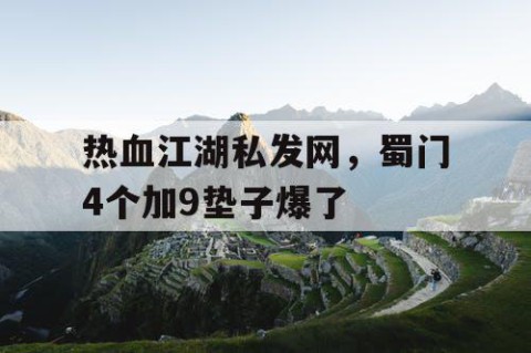 热血江湖私发网，蜀门4个加9垫子爆了