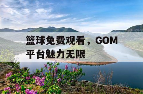 篮球免费观看，GOM平台魅力无限