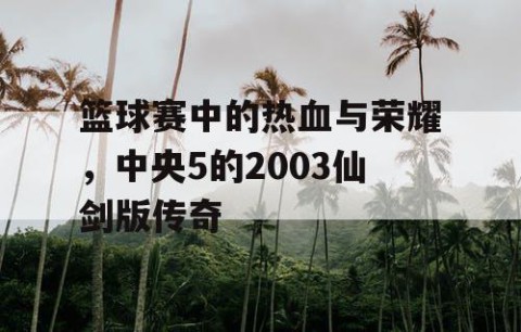 篮球赛中的热血与荣耀，中央5的2003仙剑版传奇