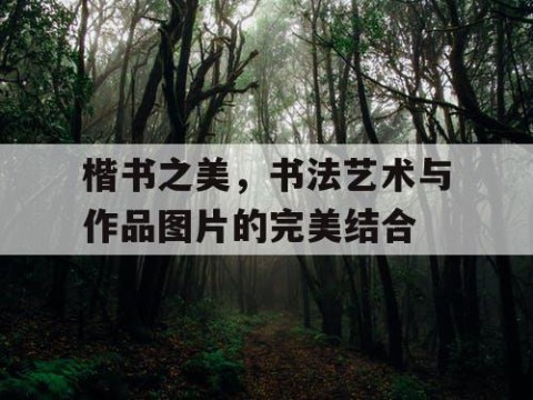楷书之美，书法艺术与作品图片的完美结合