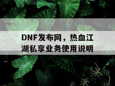 DNF发布网，热血江湖私享业务使用说明