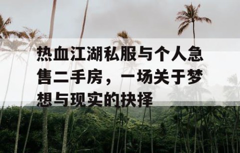 热血江湖私服与个人急售二手房，一场关于梦想与现实的抉择