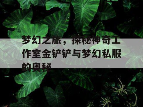 梦幻之旅，探秘神奇工作室金铲铲与梦幻私服的奥秘