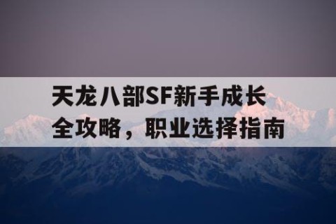 天龙八部SF新手成长全攻略，职业选择指南