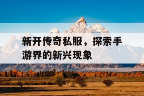 新开传奇私服,探索手游界的新兴现象