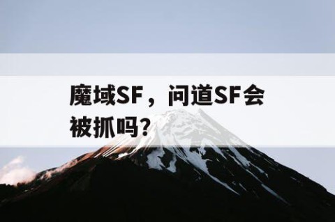 魔域SF，问道SF会被抓吗？
