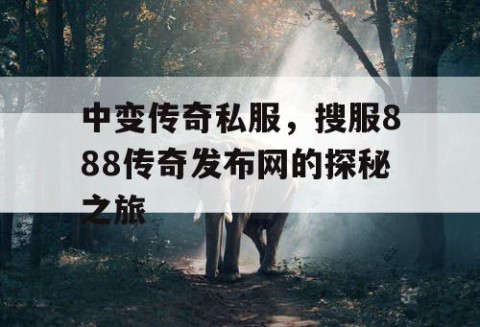 中变传奇私服,搜服888传奇发布网的探秘之旅