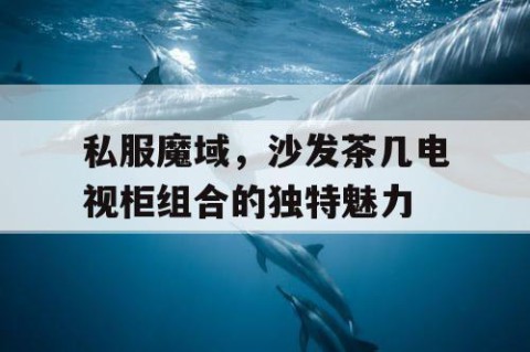 私服魔域，沙发茶几电视柜组合的独特魅力