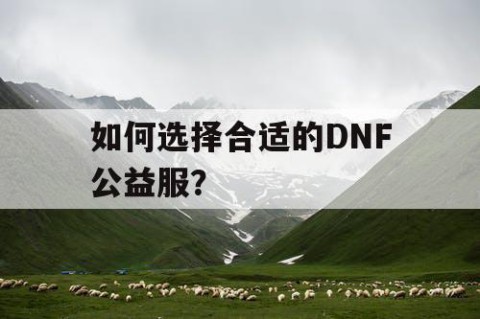 如何选择合适的DNF公益服？