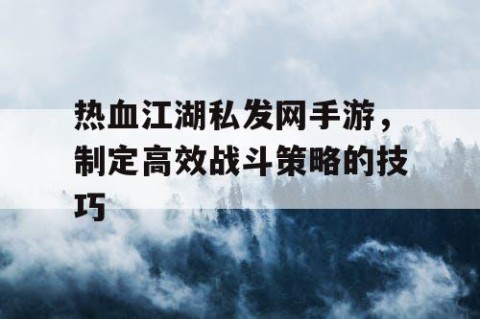 热血江湖私发网手游，制定高效战斗策略的技巧