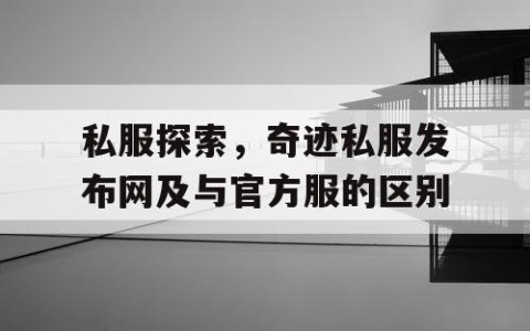 私服探索，奇迹私服发布网及与官方服的区别