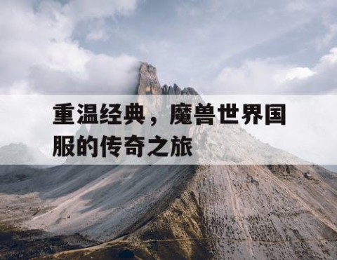 重温经典，魔兽世界国服的传奇之旅