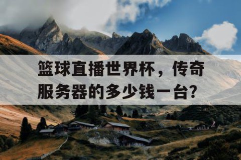 篮球直播世界杯，传奇服务器的多少钱一台？