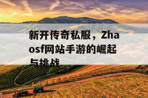 新开传奇私服，Zhaosf网站手游的崛起与挑战
