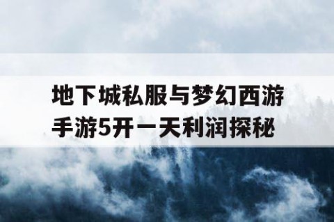 地下城私服与梦幻西游手游5开一天利润探秘