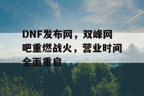 DNF发布网，双峰网吧重燃战火，营业时间全面重启