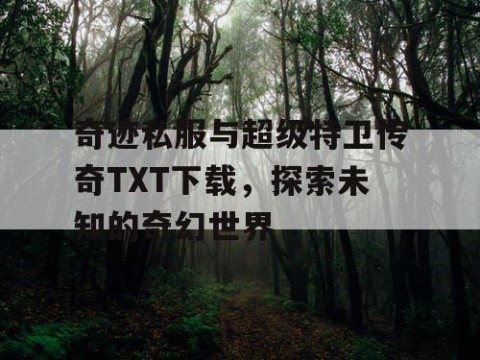 奇迹私服与超级特卫传奇TXT下载，探索未知的奇幻世界