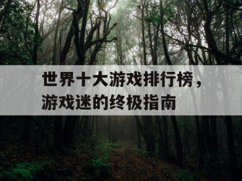 世界十大游戏排行榜，游戏迷的终极指南