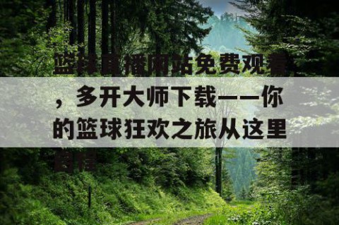 篮球直播网站免费观看，多开大师下载——你的篮球狂欢之旅从这里启程