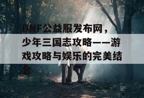 DNF公益服发布网，少年三国志攻略——游戏攻略与娱乐的完美结合