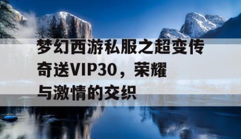梦幻西游私服之超变传奇送VIP30，荣耀与激情的交织
