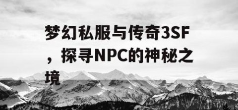 梦幻私服与传奇3SF，探寻NPC的神秘之境
