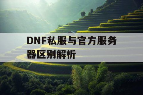 DNF私服与官方服务器区别解析