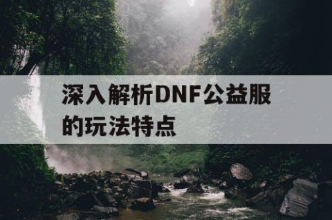 深入解析DNF公益服的玩法特点