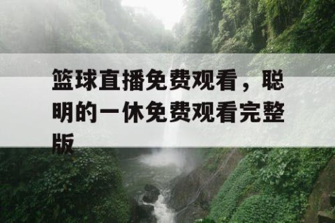 篮球直播免费观看，聪明的一休免费观看完整版