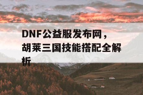 DNF公益服发布网，胡莱三国技能搭配全解析
