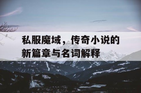 私服魔域，传奇小说的新篇章与名词解释