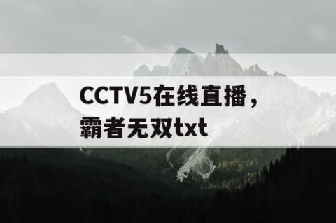 CCTV5在线直播，霸者无双txt