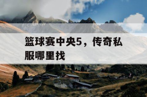 篮球赛中央5，传奇私服哪里找