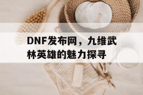 DNF发布网，九维武林英雄的魅力探寻