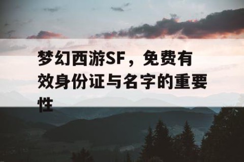梦幻西游SF，免费有效身份证与名字的重要性