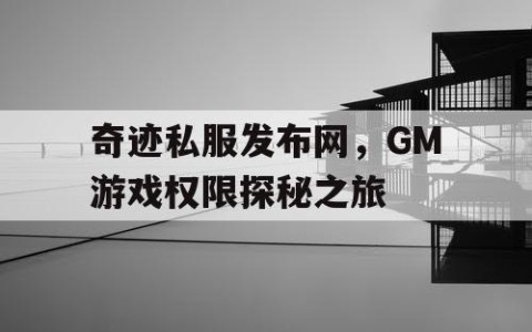 奇迹私服发布网，GM游戏权限探秘之旅