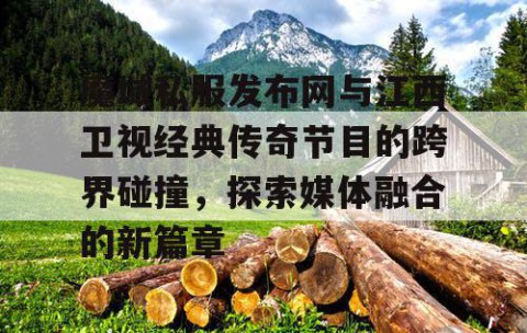 魔域私服发布网与江西卫视经典传奇节目的跨界碰撞，探索媒体融合的新篇章