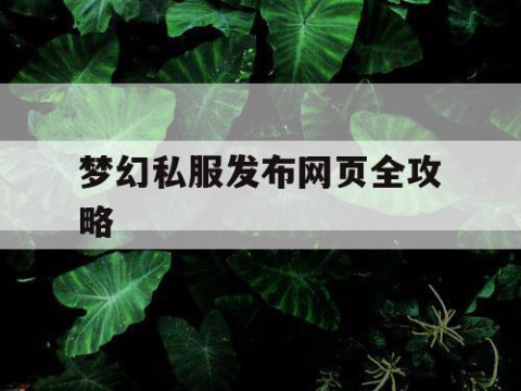 梦幻私服发布网页全攻略