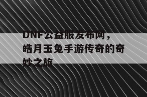 DNF公益服发布网，皓月玉兔手游传奇的奇妙之旅