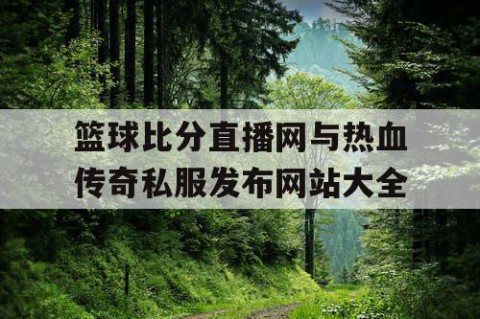 篮球比分直播网与热血传奇私服发布网站大全