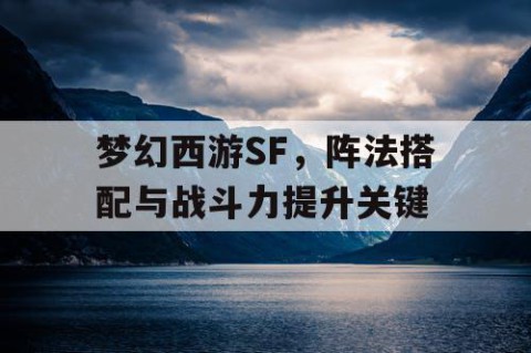 梦幻西游SF，阵法搭配与战斗力提升关键