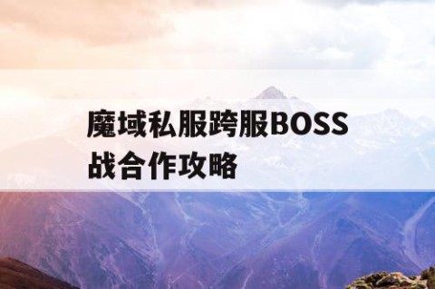 魔域私服跨服BOSS战合作攻略