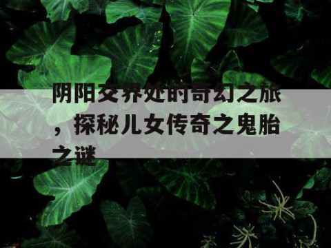 阴阳交界处的奇幻之旅，探秘儿女传奇之鬼胎之谜
