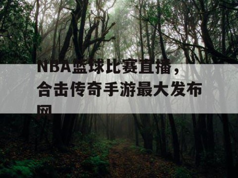 NBA篮球比赛直播，合击传奇手游最大发布网