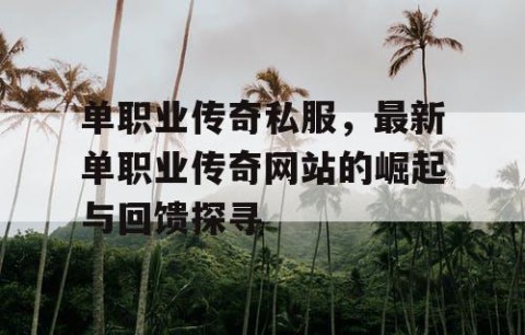 单职业传奇私服，最新单职业传奇网站的崛起与回馈探寻