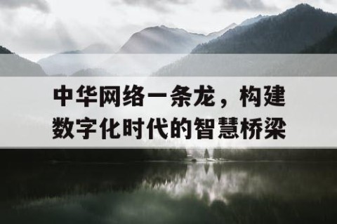 中华网络一条龙，构建数字化时代的智慧桥梁