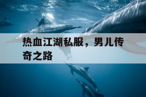热血江湖私服，男儿传奇之路