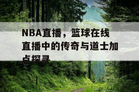 NBA直播，篮球在线直播中的传奇与道士加点探寻